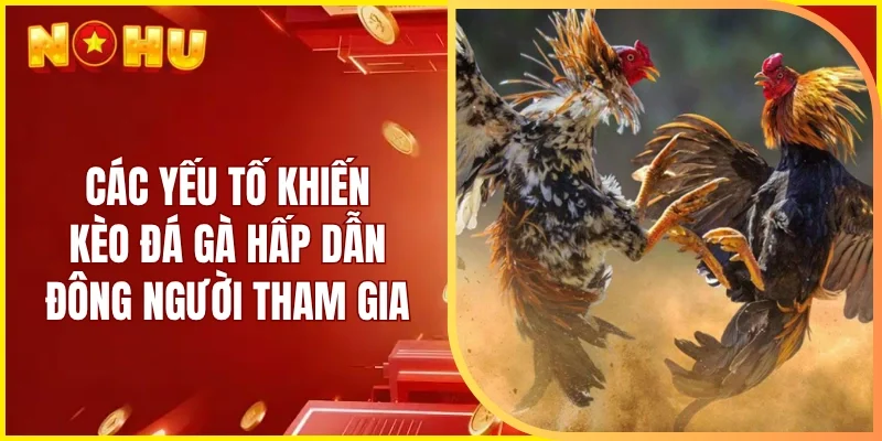 Các yếu tố khiến kèo đá gà hấp dẫn đông đảo người tham gia